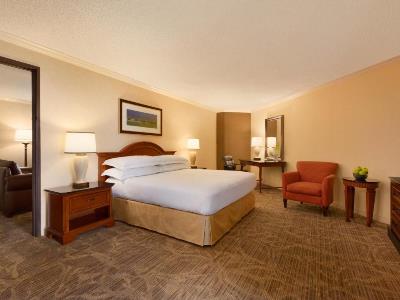 suite - hotel hilton dfw lakes exec conference center - grapevine, united states of america