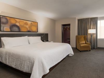 standard bedroom - hotel hilton garden inn las colinas - irving, united states of america