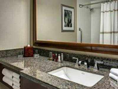 bathroom - hotel dallas fort worth airport marriott - irving, united states of america