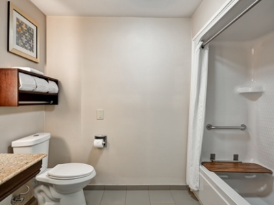 bathroom 3 - hotel homewood suites dallas lewisville - lewisville, united states of america