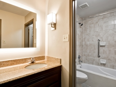 bathroom 1 - hotel homewood suites dallas lewisville - lewisville, united states of america