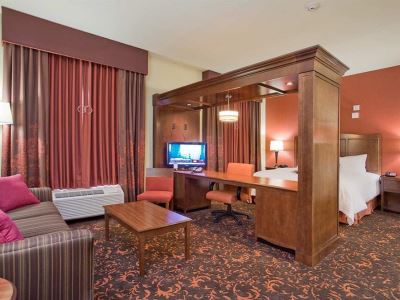bedroom 2 - hotel hampton inn and suites new braunfels - new braunfels, united states of america