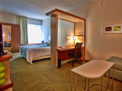 suite 2 - hotel springhill suites houston rosenberg - rosenberg, united states of america