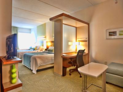 suite 3 - hotel springhill suites houston rosenberg - rosenberg, united states of america