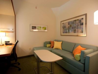 suite 4 - hotel springhill suites houston rosenberg - rosenberg, united states of america