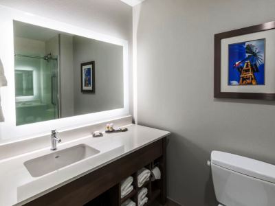 bathroom - hotel la quinta inn and suites round rock east - round rock, united states of america