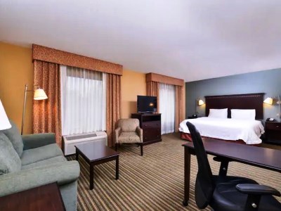 suite - hotel hampton inn ste mt.vernon/belvoir-south - alexandria, virginia, united states of america