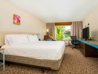 standard bedroom - hotel hilton garden inn charlottesville - charlottesville, united states of america