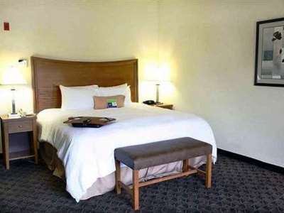 suite - hotel hampton inn ste chesapeake - square mall - chesapeake, united states of america