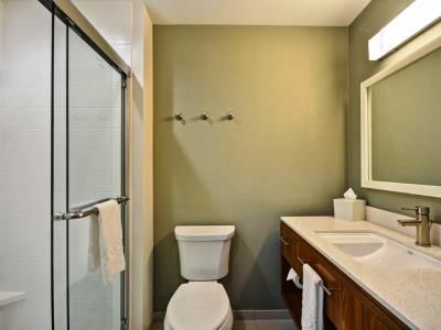 bathroom 2 - hotel home2 suites by hilton stow akron - stow, united states of america