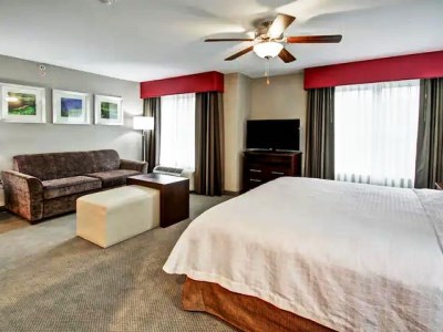 suite - hotel homewood suites by hilton bridgewater - branchburg, united states of america