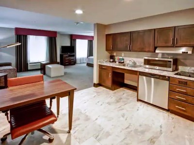 suite 3 - hotel homewood suites by hilton bridgewater - branchburg, united states of america