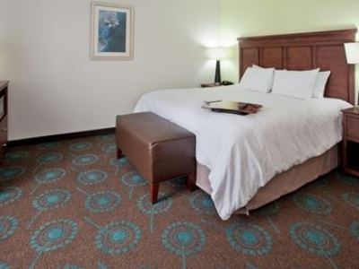 bedroom - hotel hampton inn dahlgren - king george, united states of america