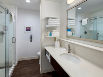 bathroom - hotel hampton inn by hilton new paltz - new paltz, united states of america