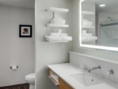 bathroom - hotel hampton inn and suites papermill drive - knoxville, tennessee, united states of america