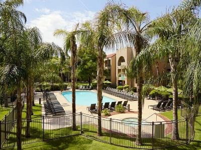 outdoor pool - hotel embassy suites phoenix tempe - tempe, united states of america