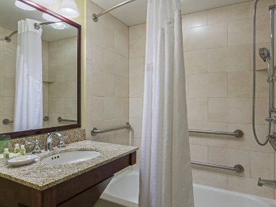 bathroom - hotel holiday inn orlando-disney spring area - lake buena vista, united states of america